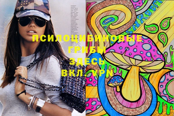 скорость Баксан